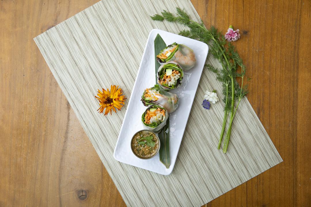 Aloy Thai Eatery - Capitol Hill