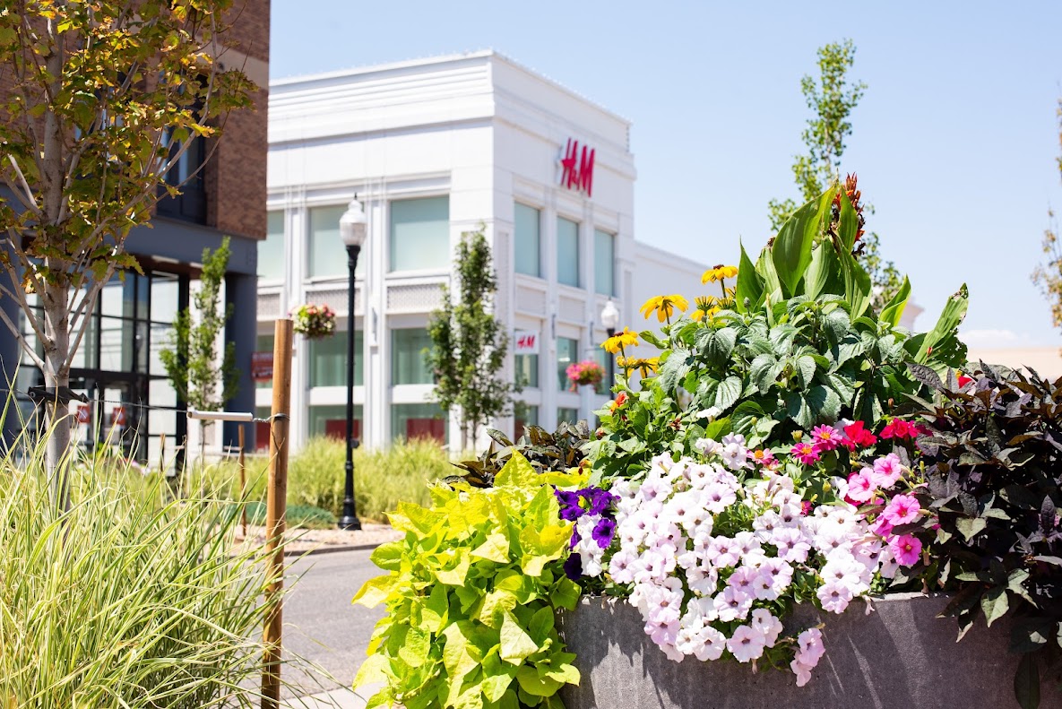 Avenues at Northfield
