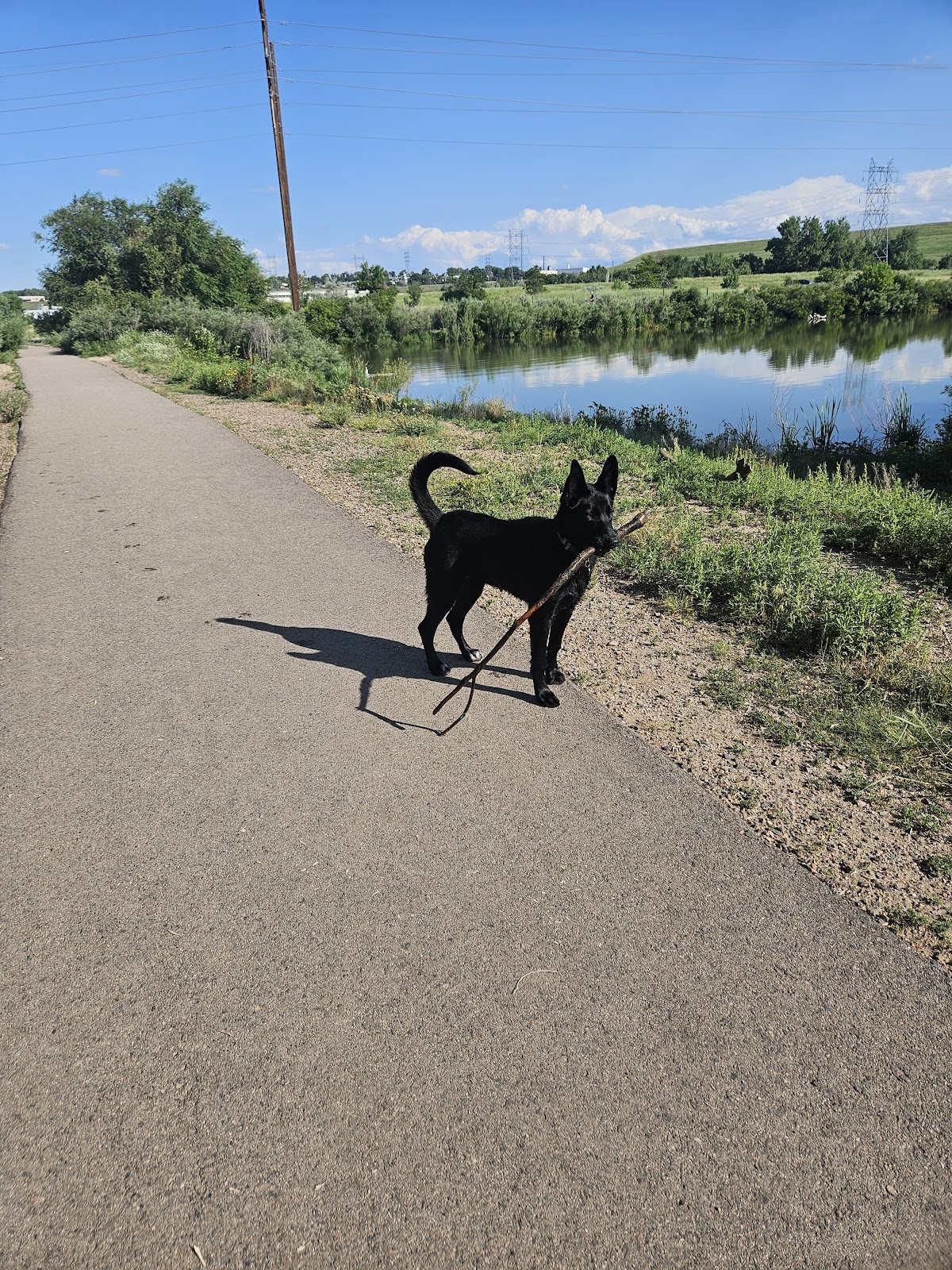 Chatfield Dog Park