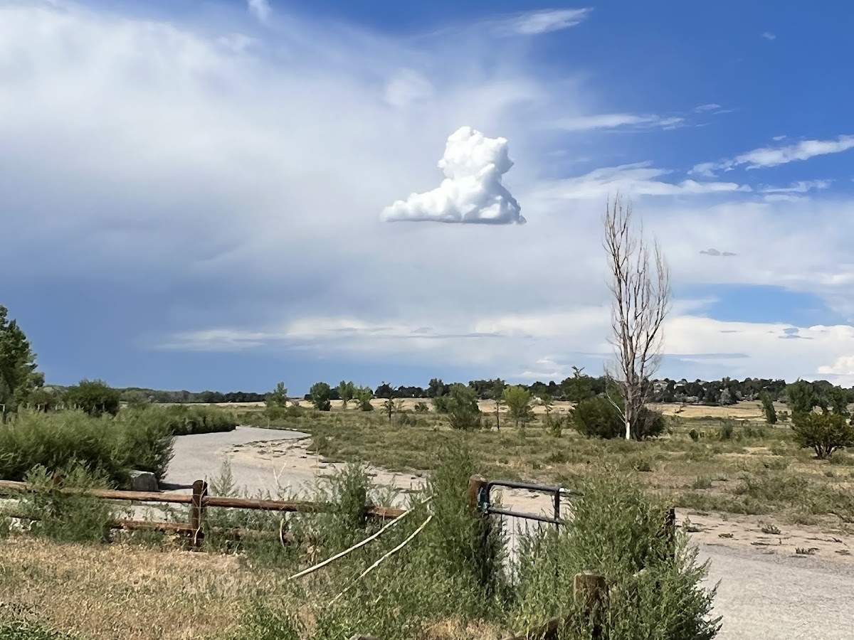 Cherry Creek ​Dog Of​f Leash Area (DOLA)