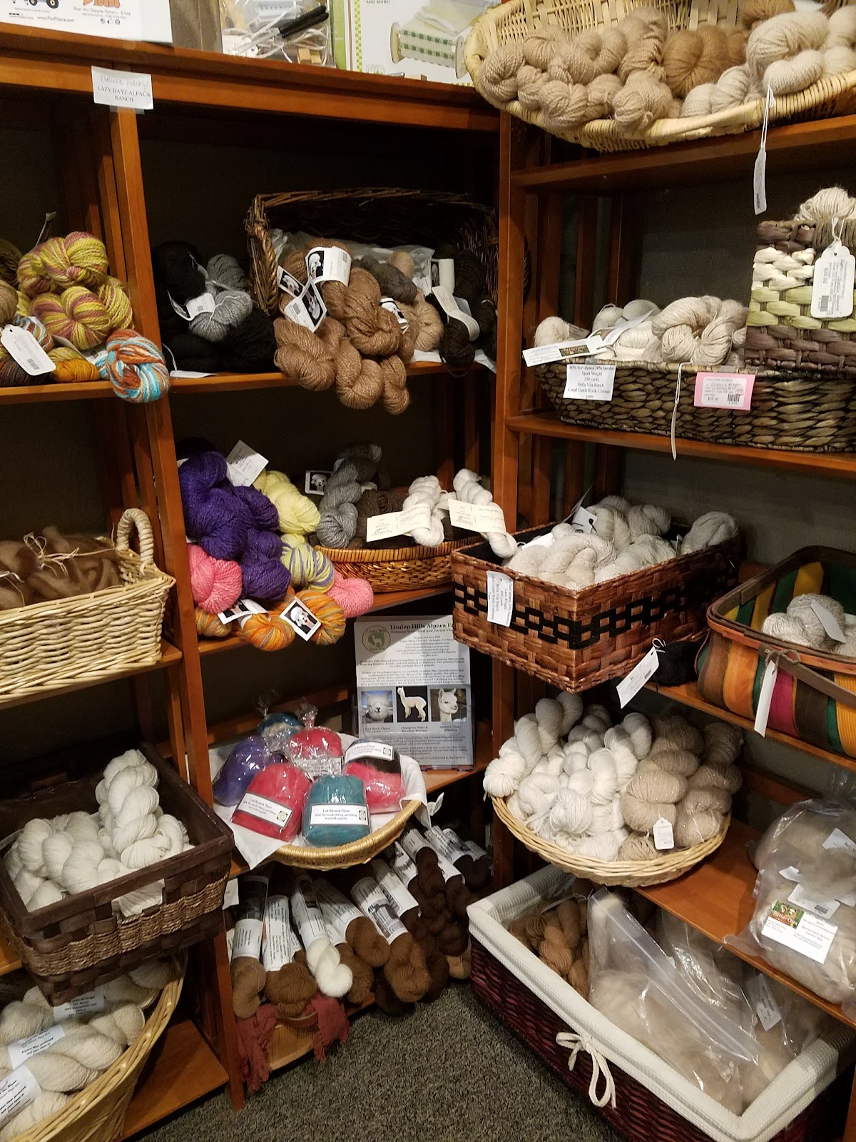 Everything Alpaca