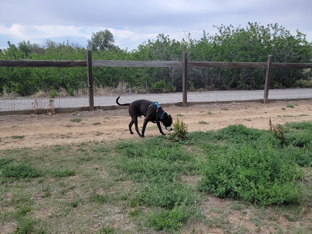 Grandview Dog Park