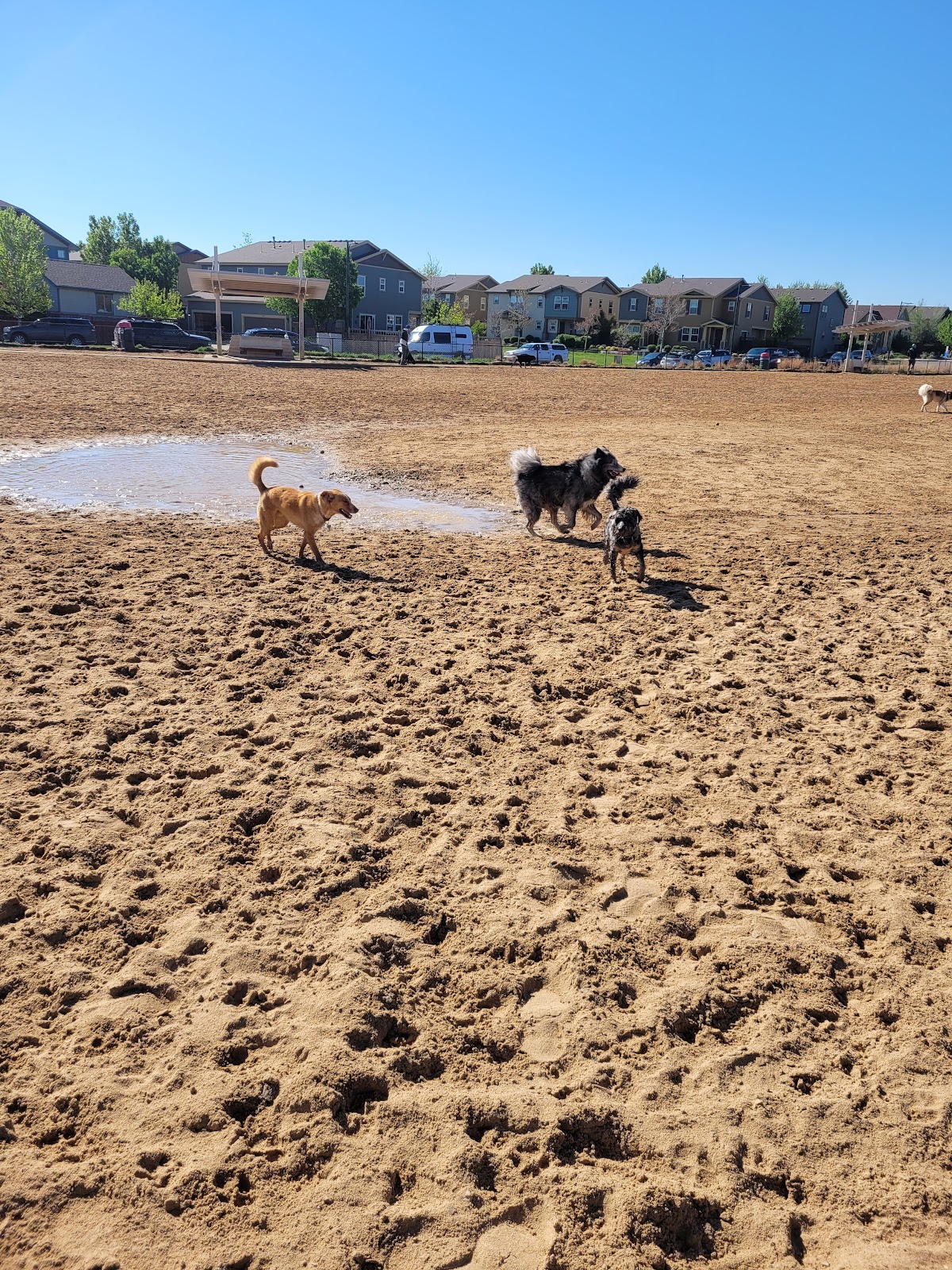 Greenway Off Leash Dog Park