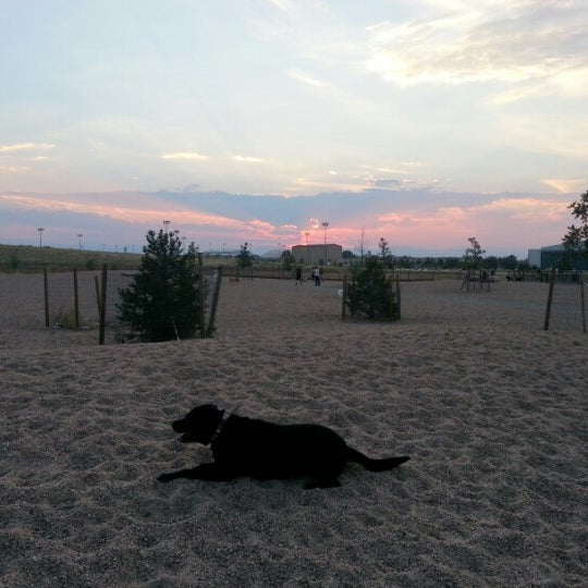 Lowry Dog Park