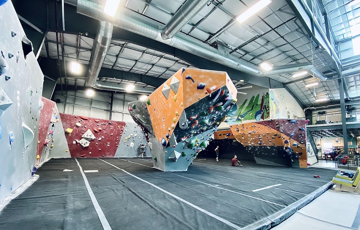 The Spot Climbing Gym
